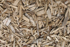 biomass boilers Fryerns