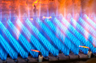 Fryerns gas fired boilers